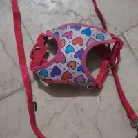 قلاده کتفی سگ پاکوتا سایزM