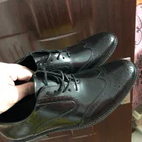 کفش مجلسی مردانه برند|کیف، کفش، کمربند|گنبد کاووس, |دیوار