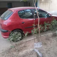 206 عروسک مدل80