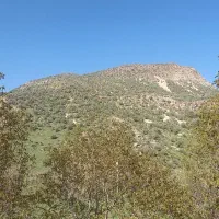 زمین-کشاورزی