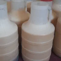 عسل کنار ویژه وعسل مش کورک|خوردنی و آشامیدنی|جره و بالاده, |دیوار