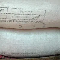 فروش نخود تازه