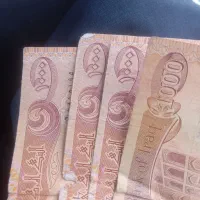 دینارکلکسیونی
