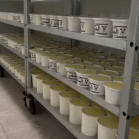 تولید و پخش لبنیات،به سوپرمارکت ولبنیاتی ها.