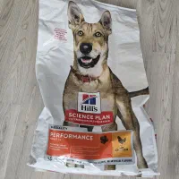 غذای سگ هیلز آمریکایی