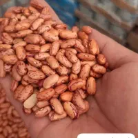 (( تخفیفات ویژه فروشگاهی )) مناسب ببر