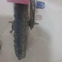 دوچرخه|دوچرخه، اسکیت، اسکوتر|بیجار, |دیوار