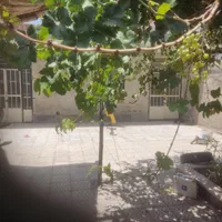 فروش خانه ویلایی نه قصب 220متر زیر بنا دو خواب|فروش خانه و ویلا|کرمان, |دیوار