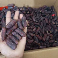 خرما پیاروم خاصویی و..