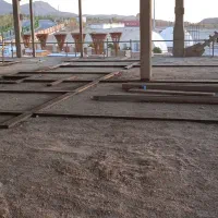 نیازمند کنافکار در شهر سیرجان