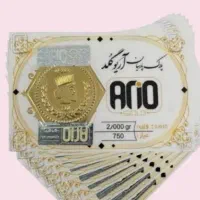 سکه پارسیان دوگرمی