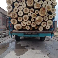 خرید انواع چوب|خدمات باغبانی و درختکاری|سراب, |دیوار