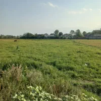 زمین کشاورزی 1000متر