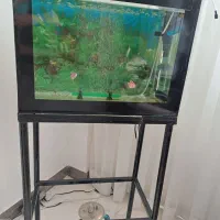 فروش اکواریوم با تمام لوزام