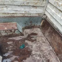 پیکان وانت ۸۸|خودرو سواری و وانت|مشهد, عسگریه|دیوار