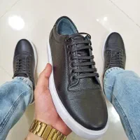 کتونی ونس چرم طبیعی تبریز|کیف، کفش، کمربند|رشت, باهنر|دیوار