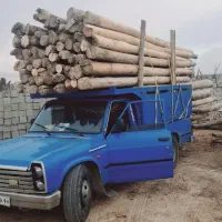 سلام خریداره چوب هستم دام اقاجه تیر قلم صنوبر