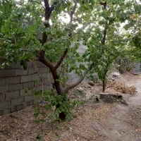 باغ380متری کنتور برق شهریار/دهشاد/تهران سر/صباشهر|فروش خانه و ویلا|شهریار, دهشاد بالا|دیوار