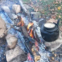 جویای کار در شرکت هستم