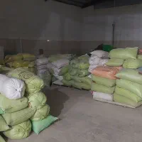فروش گندم به شرط نان