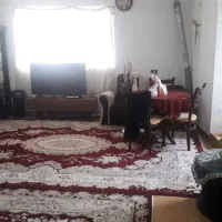 اجاره آپارتمان ۶۰ متری ۱ خوابه مستر طبقه ۳|اجارهٔ آپارتمان|بابل, |دیوار