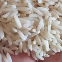 برنج درجه یک شمال