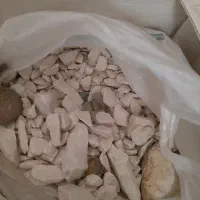 اکواریوم|ماهی|قم, ناصردیوان|دیوار