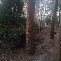 خانه ویلایی