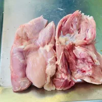 پخش مرغ سینه فیله