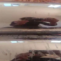 cb 1300|موتورسیکلت|سبزوار, کلاته سیفر|دیوار