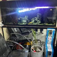 فروش اکواریوم