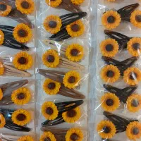 تعدادی گیره و کش مو باهم