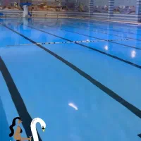 آموزش اصولی شنا از مبتدی تا پیشرفته|خدمات آموزشی|کرمانشاه, |دیوار