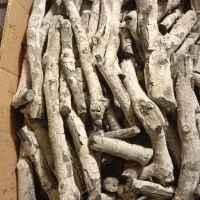 ذغال قلم سفید