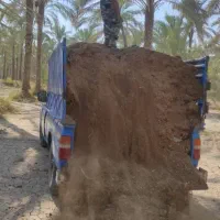 کود حیوانی آبپخش وحومه