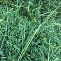 یونجه خالص و مرغوب