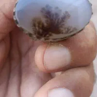 سلام یک شجر ه تک درخت عقیق عتیقه|جواهرات|رفسنجان, |دیوار