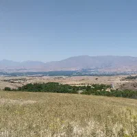 زمین کشاورزی
