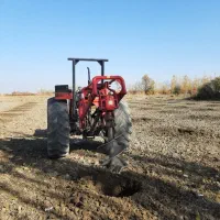 چاله کن|خدمات باغبانی و درختکاری|نوشین شهر, |دیوار