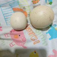 سنگ آسیاب وسنگ یشم زیبا قیمتی|کلکسیون اشیاء عتیقه|تویسرکان, |دیوار