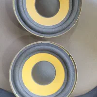 ساب وفر ضبط خانگی