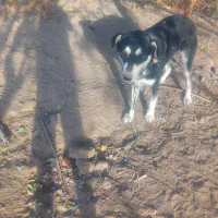 قیمت ۲۰۰۰۰۰۰۰ باتخفیف ۱۵تومان  تماس پاسخگو