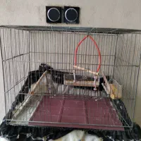 دوتا قفس یه بزرگ یه متوسط