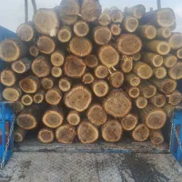 خریدار و فروش چوب و ضایعات چوب و برش چوب