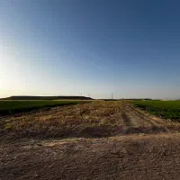زمین برای کشاورزی احداث باغ،گلخانه،روستای کناوند|فروش دفتر صنعتی، کشاورزی، تجاری|زنجان, |دیوار