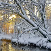 ویلا کنار رودخانه با دیوار و اتاق چلوان