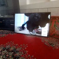 با سلام فروش تلویزیون 49 سامسونگ صفحه شکسته|تلویزیون و پروژکتور|نیریز, |دیوار