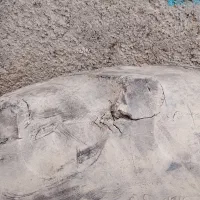 لاستیک رومانی|قطعات یدکی و لوازم جانبی|ماهیدشت, |دیوار