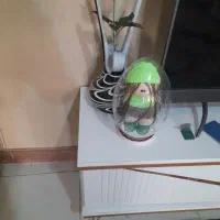 دکوری|چراغ خواب و آباژور|قزوین, |دیوار