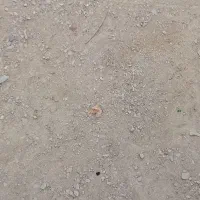 زمین تعاونی شهرک مالک اشتر